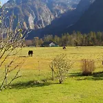 Seehof Royer *