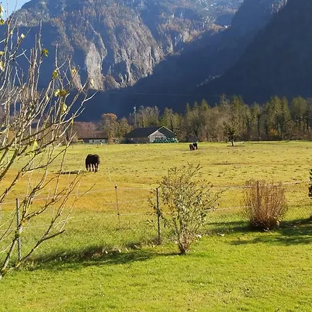 Seehof Royer *